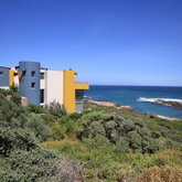 surrounded by Fynbos